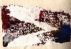 a mono print